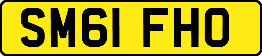 SM61FHO