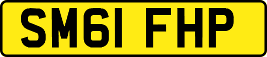 SM61FHP