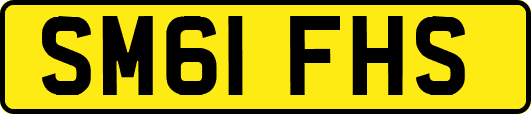 SM61FHS
