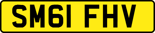 SM61FHV