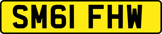 SM61FHW
