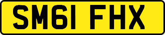 SM61FHX