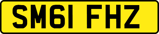 SM61FHZ