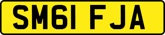 SM61FJA