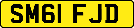 SM61FJD