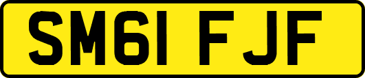 SM61FJF