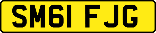 SM61FJG