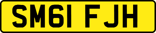 SM61FJH