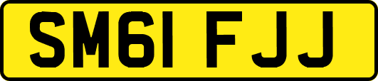 SM61FJJ