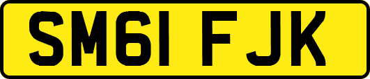 SM61FJK