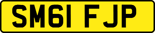 SM61FJP