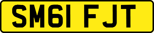 SM61FJT