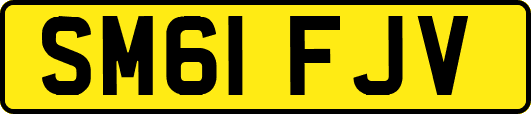 SM61FJV