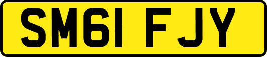 SM61FJY