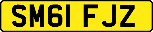 SM61FJZ