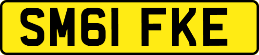 SM61FKE