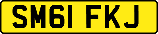 SM61FKJ