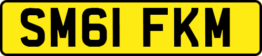 SM61FKM