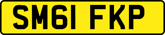 SM61FKP