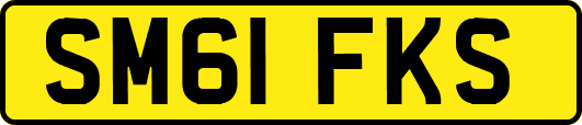 SM61FKS