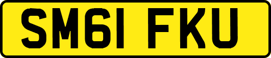 SM61FKU