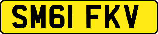 SM61FKV