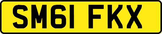 SM61FKX