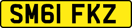 SM61FKZ