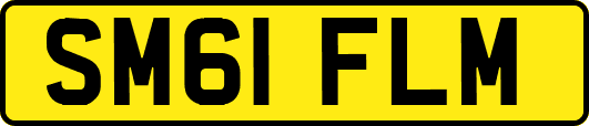 SM61FLM