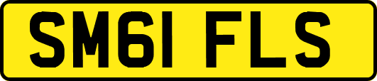 SM61FLS