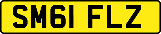 SM61FLZ