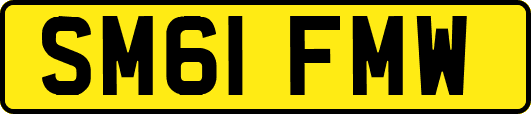 SM61FMW
