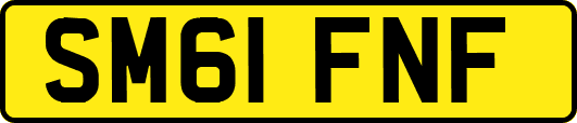 SM61FNF