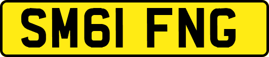 SM61FNG