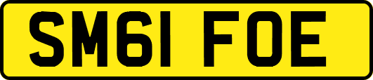 SM61FOE