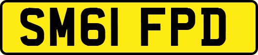 SM61FPD