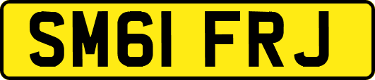SM61FRJ
