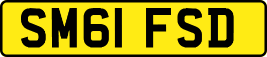 SM61FSD
