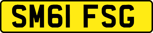 SM61FSG
