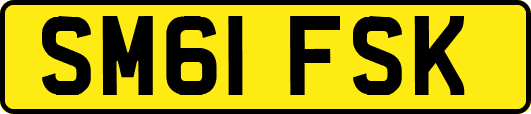 SM61FSK
