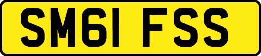 SM61FSS