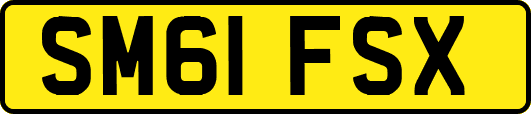 SM61FSX