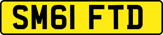 SM61FTD