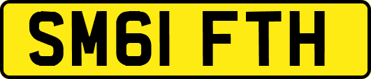 SM61FTH