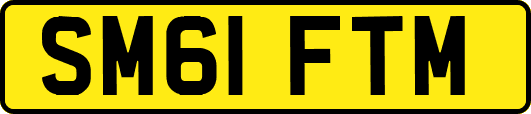 SM61FTM