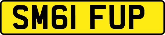SM61FUP