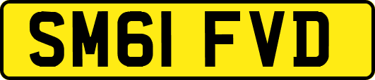 SM61FVD
