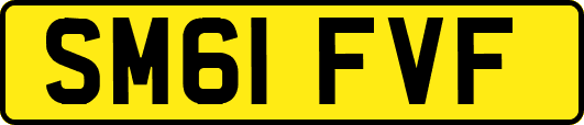 SM61FVF