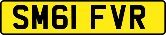SM61FVR