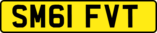 SM61FVT